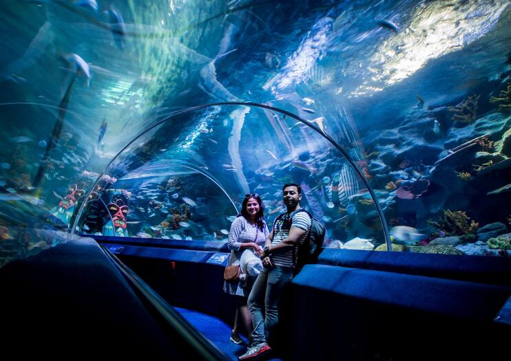 The Best Istanbul Sea Life® Aquarium Tours & Tickets 2020 