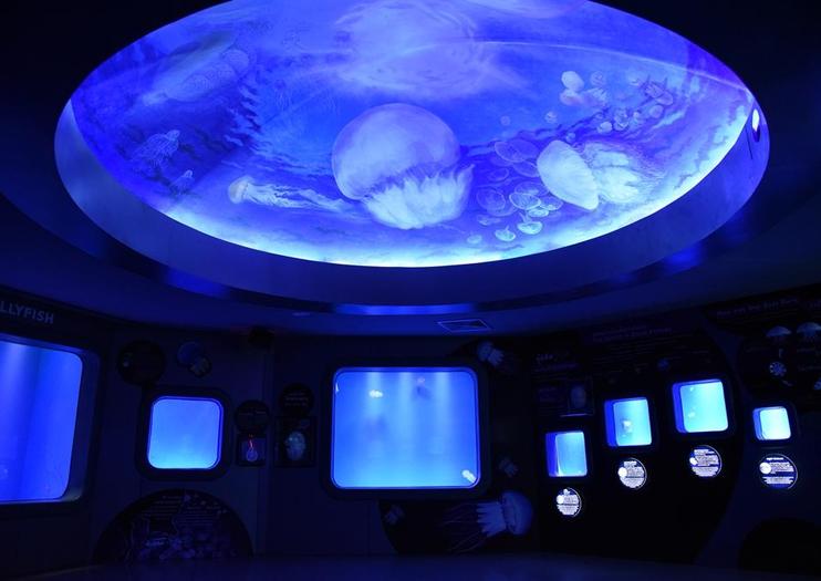 Bang Saen Aquarium (Institute of Marine Science)