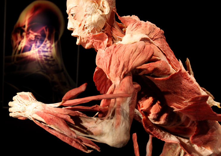 Bodies... The Exhibition Atlanta