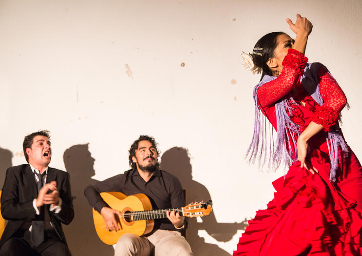 Peña Juan Breva Flamenco Art Museum (Museo de Arte Flamenco de la Peña Juan Breva)