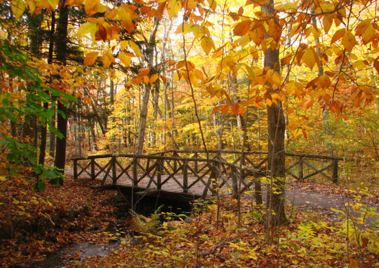 Gatineau Park Ottawa