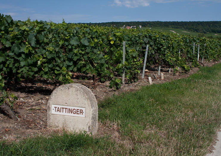 Taittinger Champagne House (Maison de Champagne Taittinger)