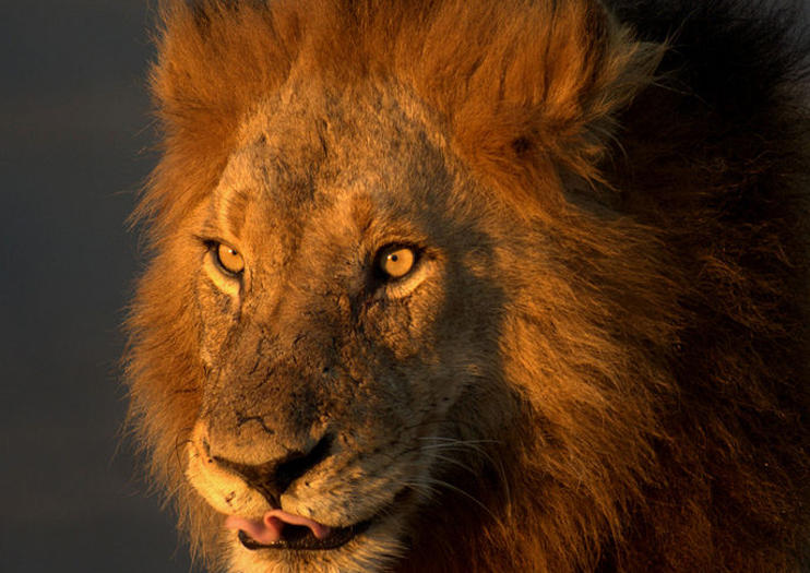 Kruger National Park