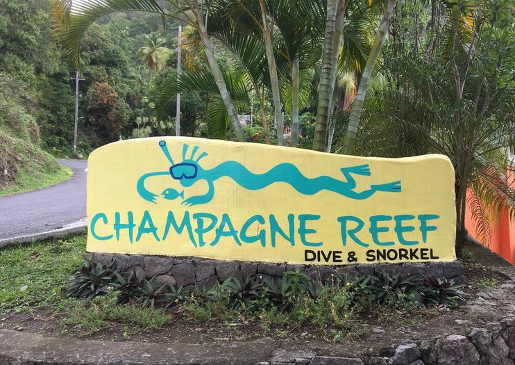 Champagne Reef