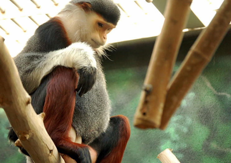 Philadelphia Zoo