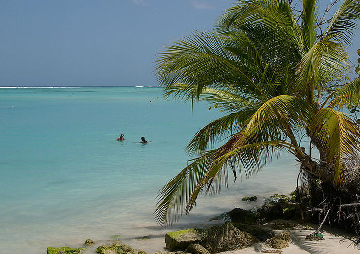 Buccoo Reef