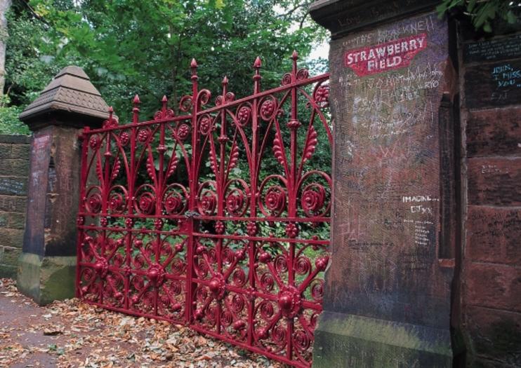 strawberry field tours