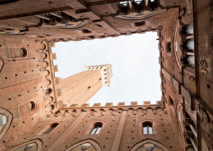 The 5 Best Siena Civic Museum (Museo Civico di Siena) Tours & Tickets ...