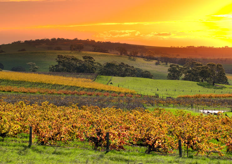 bus tours to barossa valley from adelaide