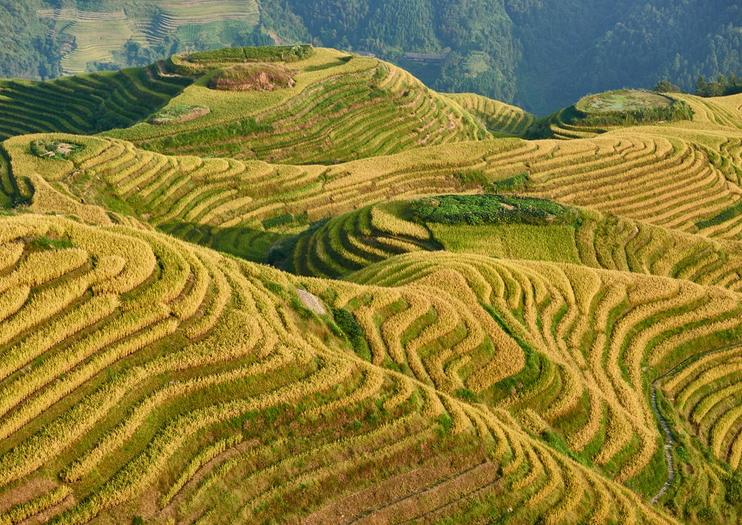 Resultado de imagem para terraços de arroz em Guilin