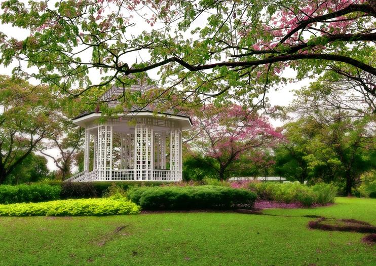 The 5 Best Singapore Botanical Garden & National Orchid Garden Tours ...