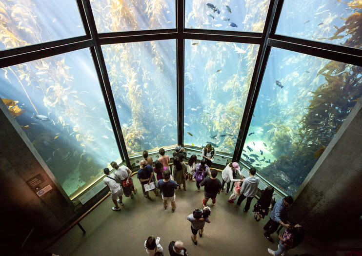 best time to visit monterey bay aquarium