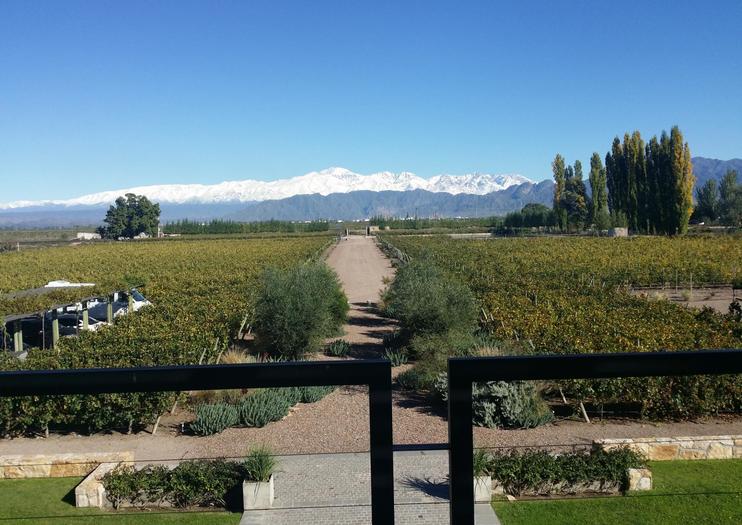 Bodega Cruzat