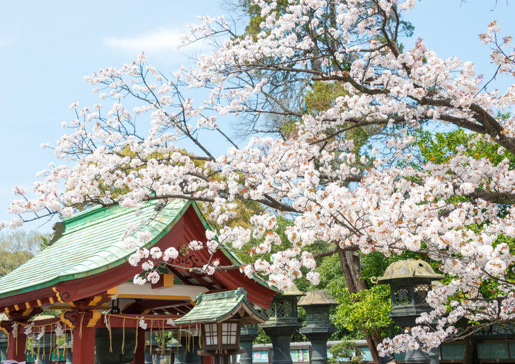 The 10 Best Ueno Park Ueno Koen Tours Tickets 2019 - 