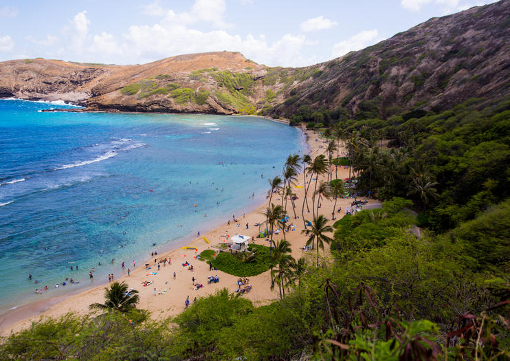 viator tours oahu