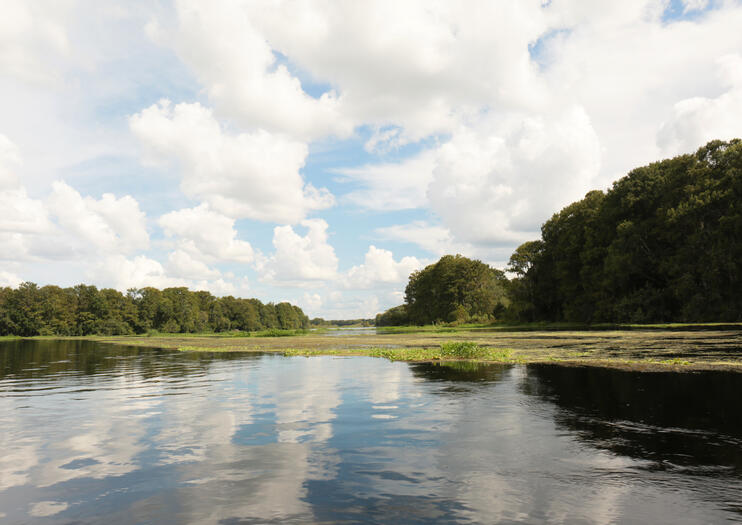 Everglades Tours from Orlando