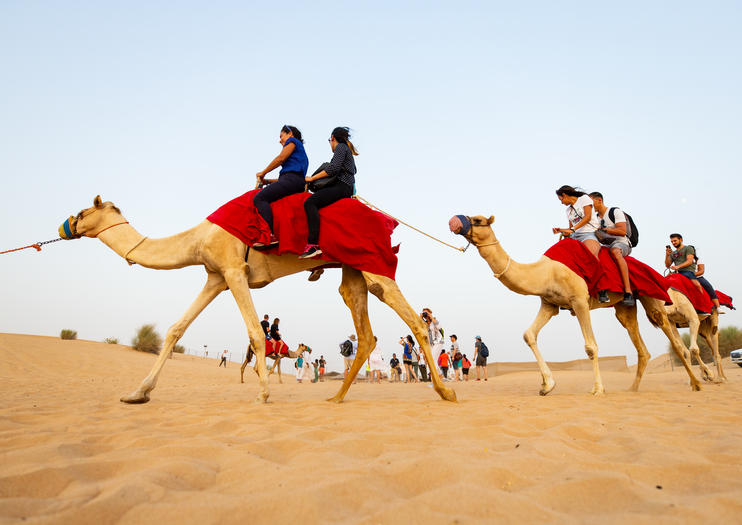 Desert Experiences from Abu Dhabi