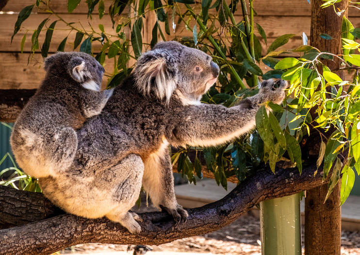 How to Spend 3 Days in Melbourne