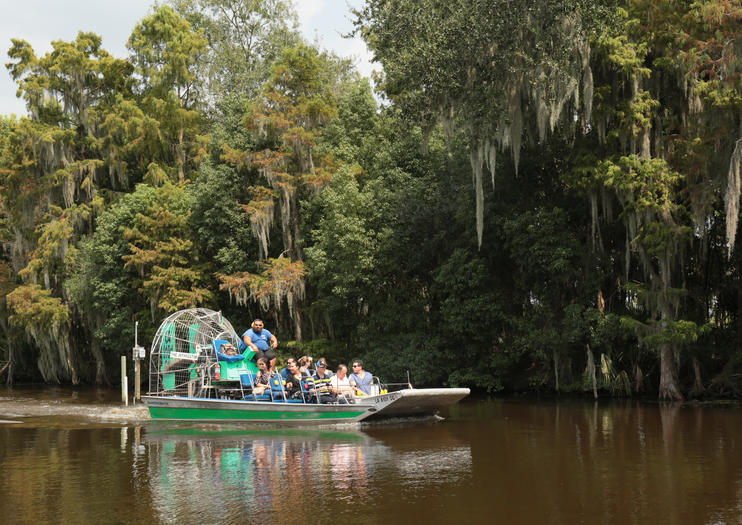 New Orleans Swamp Tours - 2020 Travel Recommendations | Tours, Trips ...