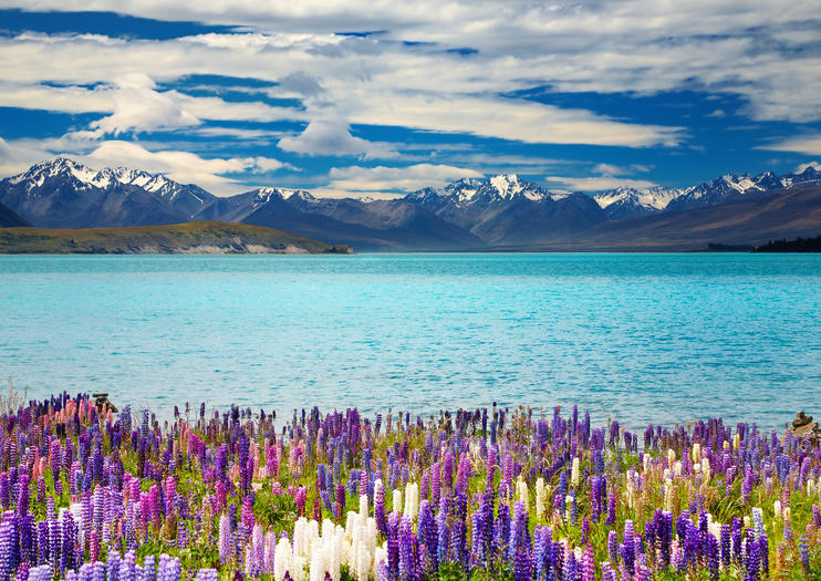 Lake Tekapo