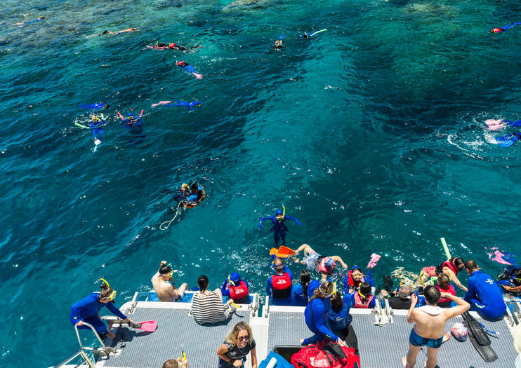 great barrier reef tours viator