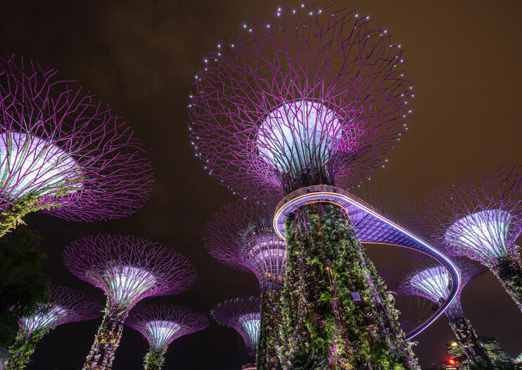 Supertree Grove At Gardens By The Bay Singapore Tickets Tours Book Now