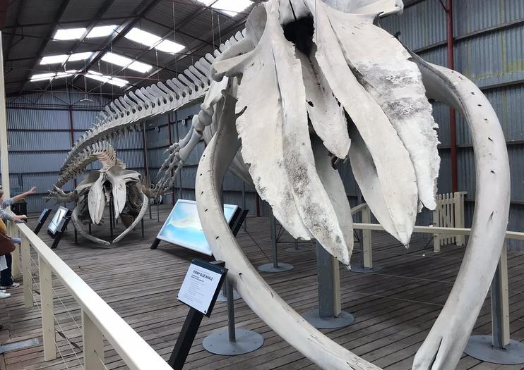 Albany's Historic Whaling Station