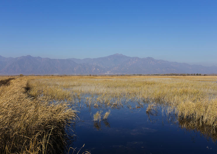 Wild Duck Lake National Wetland Park (Yeyahu)