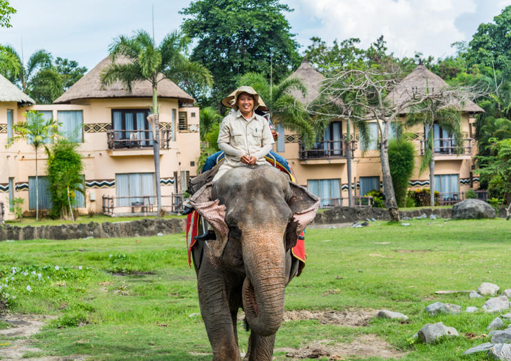 The Best Bali Safari Marine Park Tours Tickets 2019 Viator