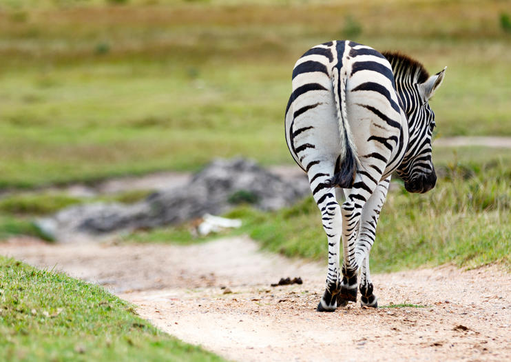 Kragga Kamma Game Park
