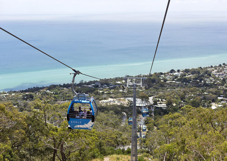Arthurs Seat Eagle