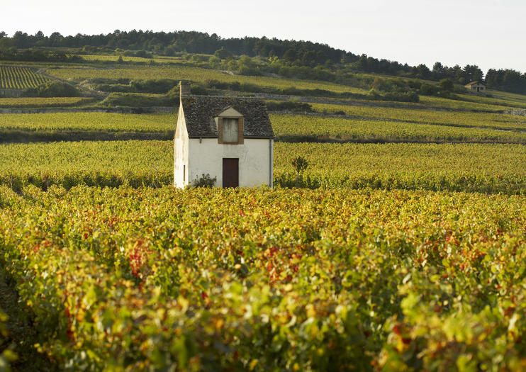 How to Spend 1 Day in Beaune