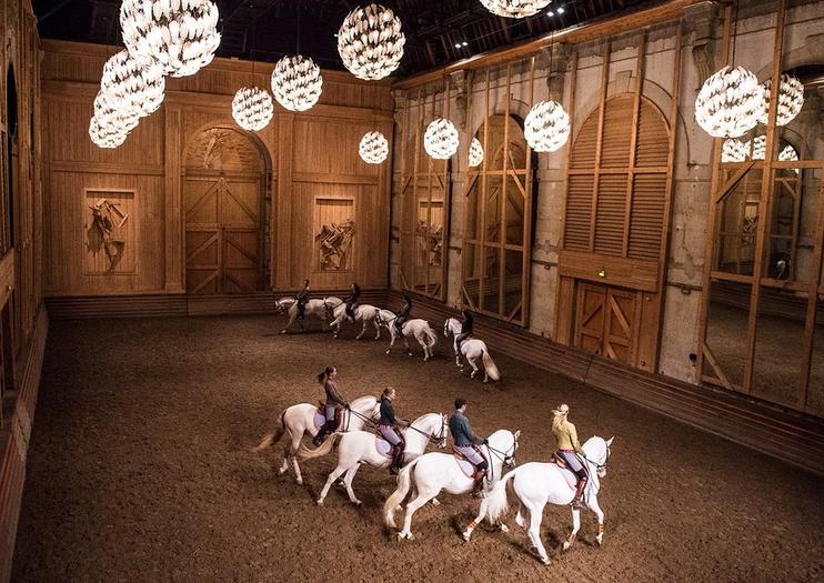 The Best Academy of Equestrian Arts Tours & Tickets 2021 - Versailles ...