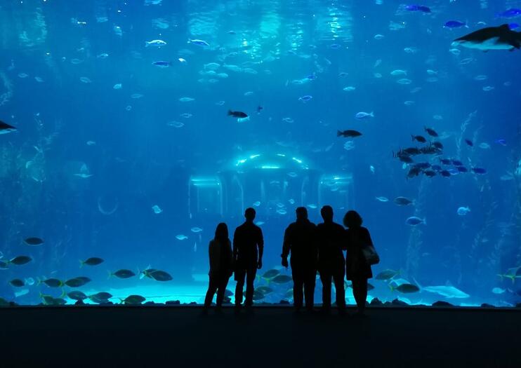 Poema del Mar Aquarium