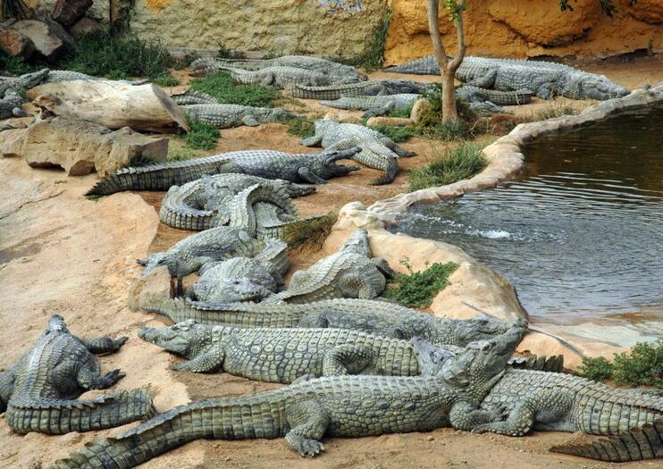 Cocodrilo Park Zoo