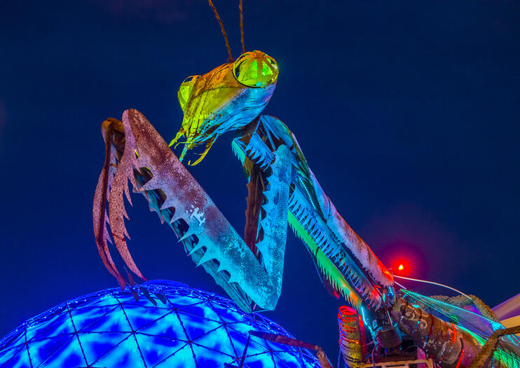 The Dome At Container Park