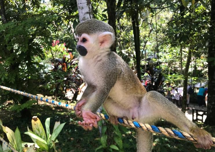 Bioparque Los Ocarros