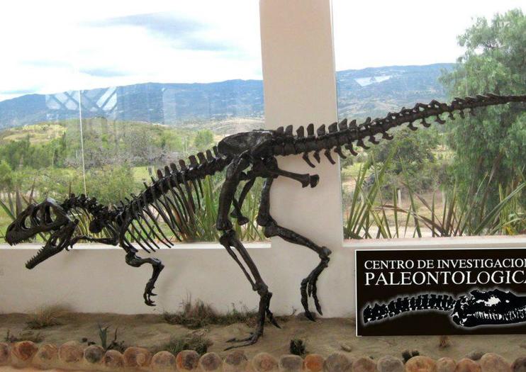 Paleontological Research Center (Centro de Investigaciones Paleonlógicas)