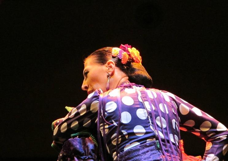Flamenco Dance Museum (Museo del Baile Flamenco)