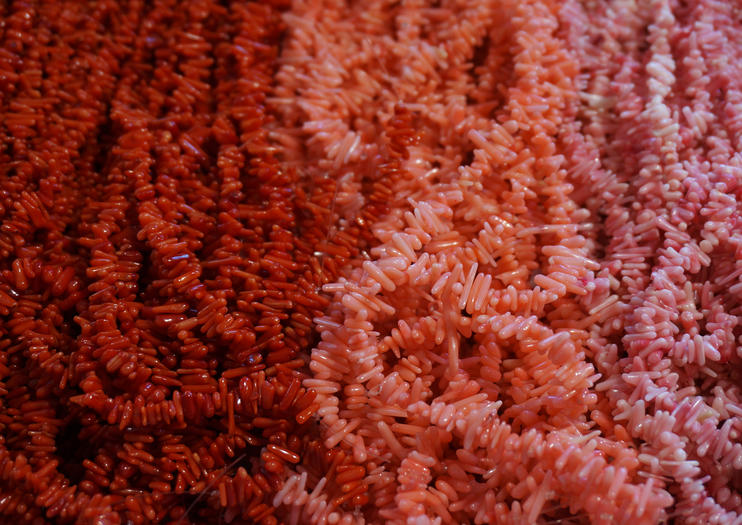 Coral Museum (Museo del Corallo)