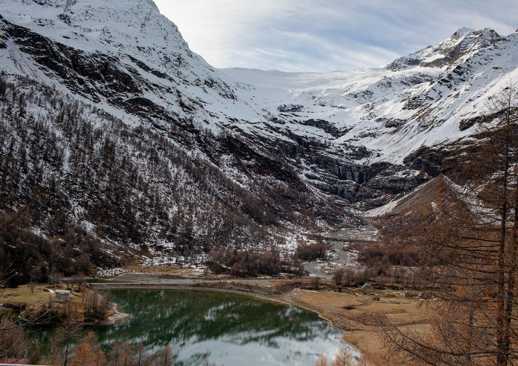 Swiss Alps Tours from Milan 2020 Travel Tours, Trips & Tickets Viator