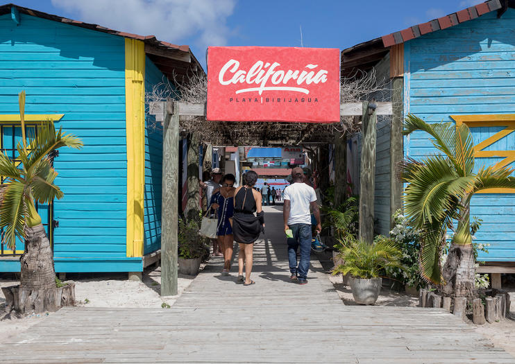 Don’t Miss These Must-Do Activities in Punta Cana