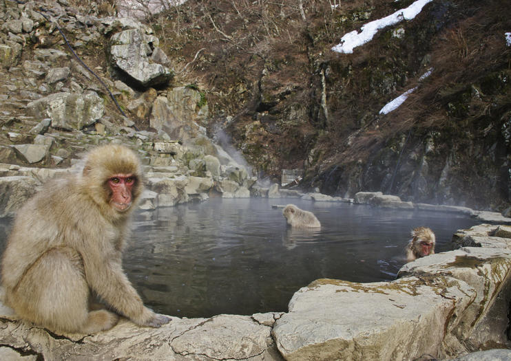 How to Spend 2 Days in Nagano