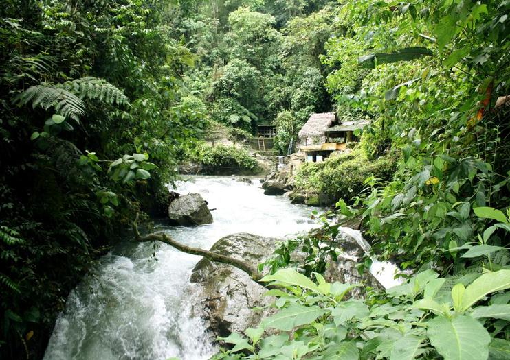 Nambilla Waterfalls (Nambilla Cascadas)