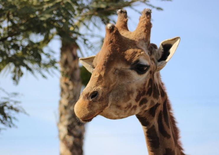 Terra Natura Murcia