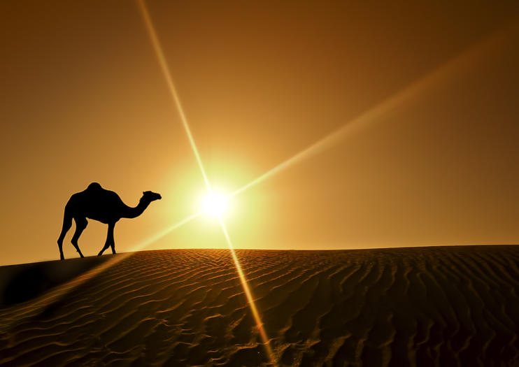 How to Spend 1 Day in Sharjah