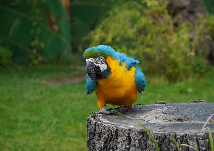 Hannover Adventure Zoo (Erlebnis Zoo Hannover)