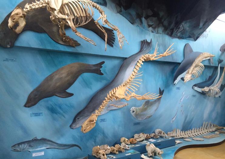 Acatushun Museum