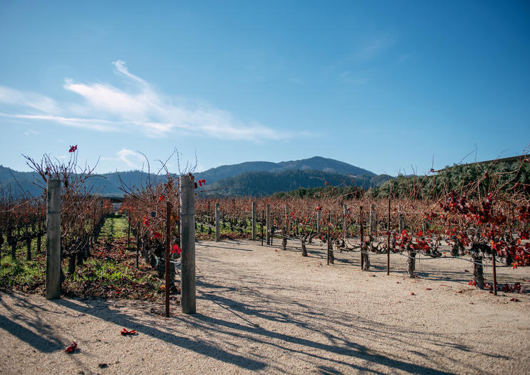 3 Dias em Napa e Sonoma: Sugestão de Itinerários