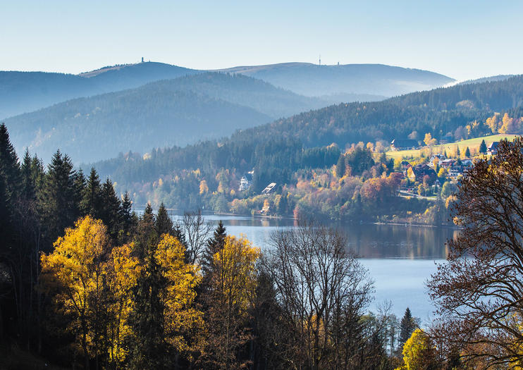 Black Forest Day Trips from Strasbourg